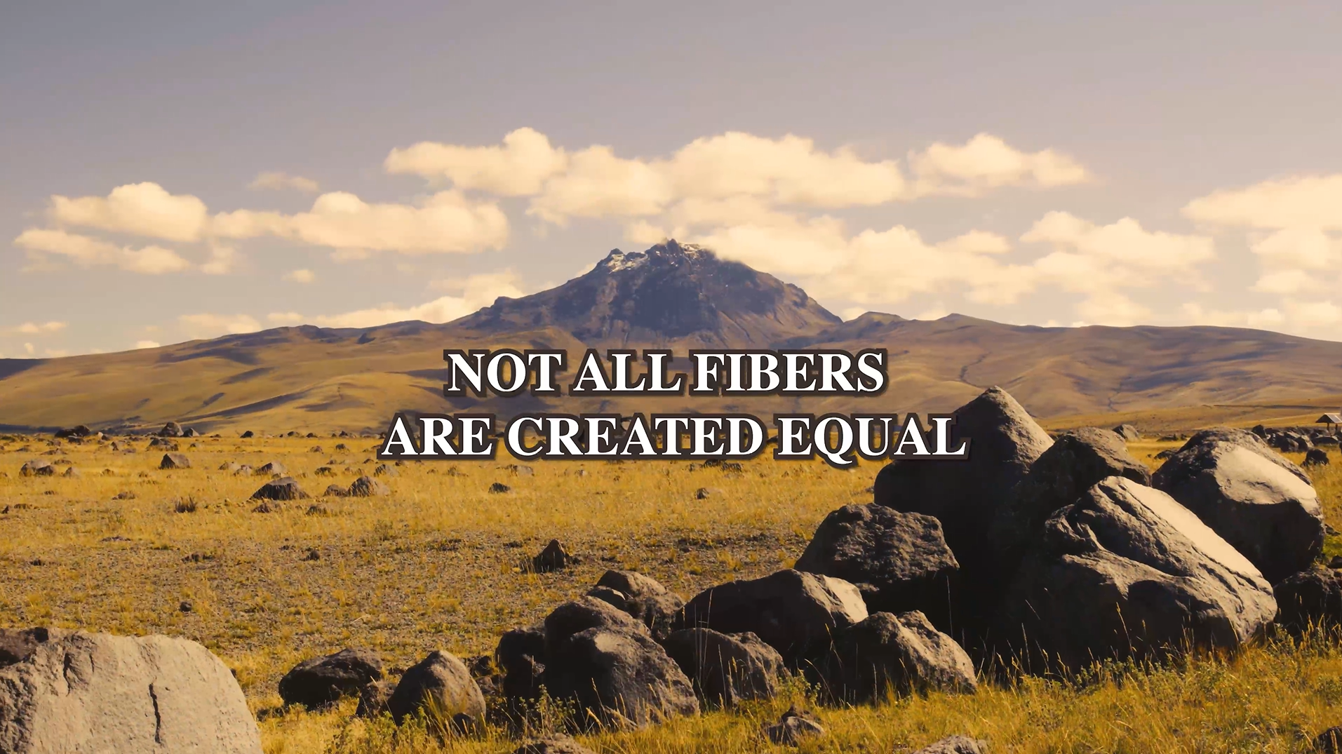 Load video: Not all fibers are created equal